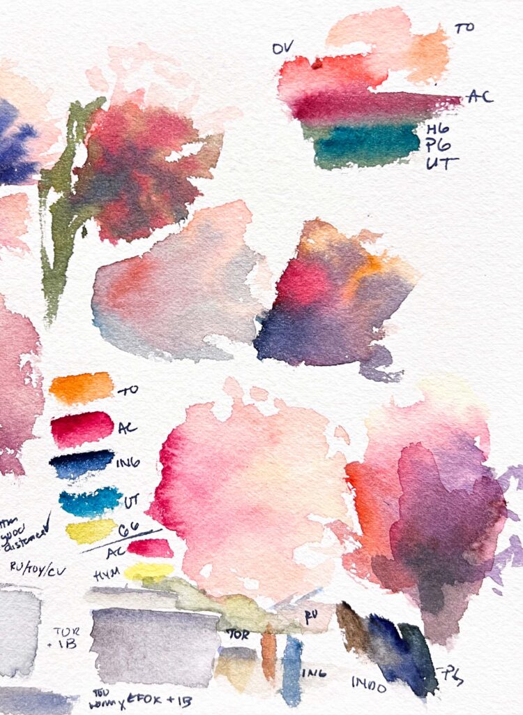 Freeform swatches of a Hollyhock